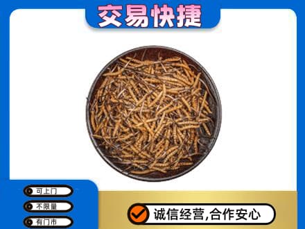乌鲁木齐水磨沟高价回收散虫草